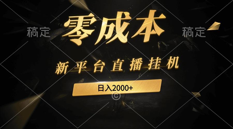 (9841期)新平台直播挂机最新玩法，0成本，不违规，日入2000+-木白网创