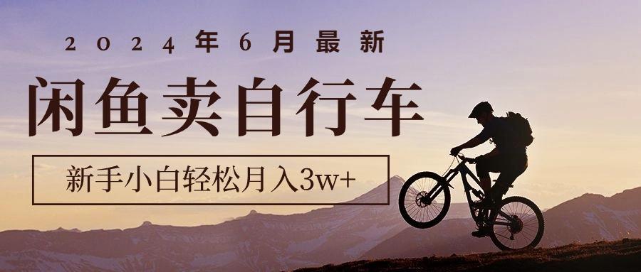 2024年6月最新闲鱼卖自行车，新手小白轻松月入3w+项目-木白网创