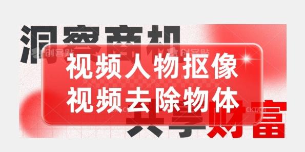 【超强视频处理工具】视频人物抠像+视频去除物体-木白网创