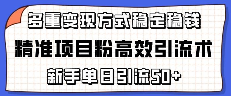 精准项目粉高效引流术，新手单日引流50+，多重变现方式稳定赚钱【揭秘】-木白网创