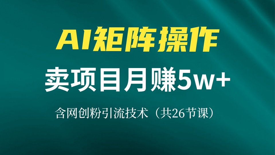 网创IP打造课，借助AI卖项目月赚5万+，含引流技术(共26节课-木白网创