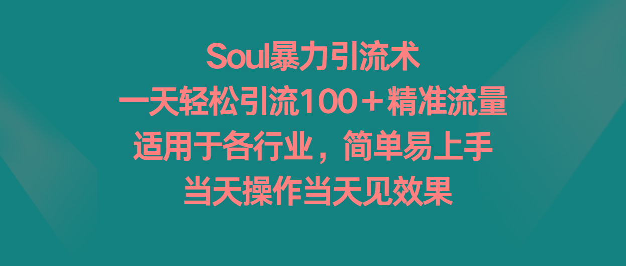 Soul暴力引流术，一天轻松引流100＋精准流量，适用于各行业，简单易上手！-木白网创