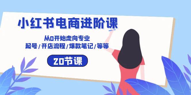 小红书电商进阶课：从0开始走向专业 起号/开店流程/爆款笔记/等等(20节-木白网创