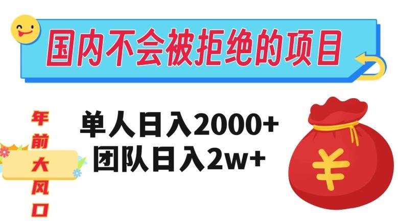 在国内不怕被拒绝的项目，单人日入2000，团队日入20000+【揭秘】-木白网创