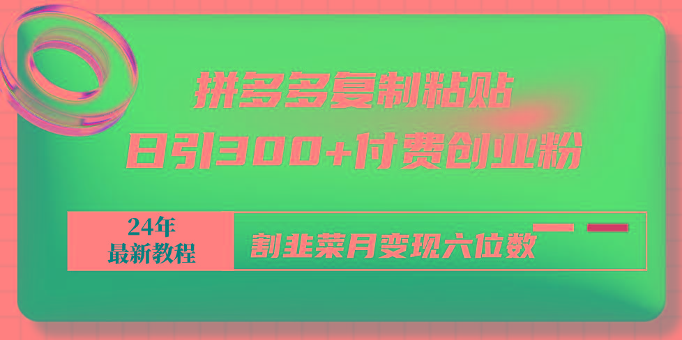 拼多多复制粘贴日引300+付费创业粉，割韭菜月变现六位数最新教程！-木白网创