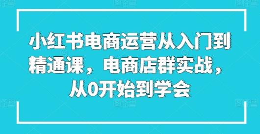 小红书电商运营从入门到精通课，电商店群实战，从0开始到学会-木白网创
