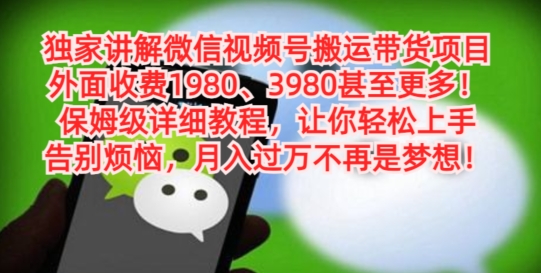 独家讲解微信视频号搬运带货项目，保姆级详细教程-木白网创
