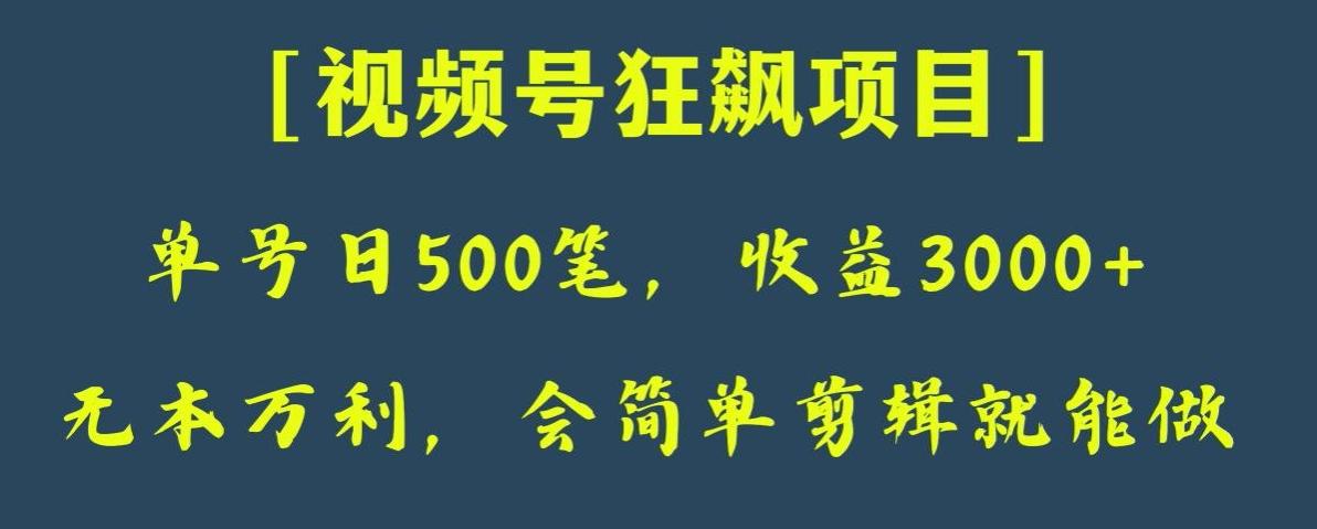 日收款500笔，纯利润3000+，视频号狂飙项目，会简单剪辑就能做【揭秘】-木白网创