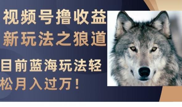 视频号撸收益新玩法之狼道，目前蓝海玩法，轻松月入过万【揭秘】-木白网创