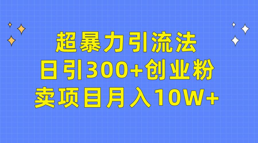 (9954期)超暴力引流法，日引300+创业粉，卖项目月入10W+-木白网创