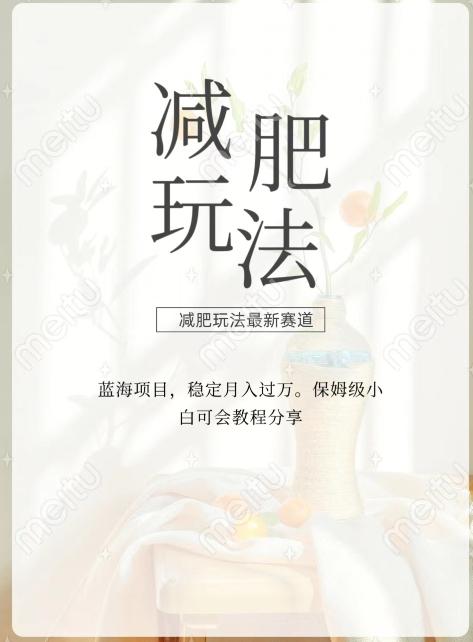 减肥流量主新玩法，轻松月入1W，可矩阵操作收入翻倍-木白网创