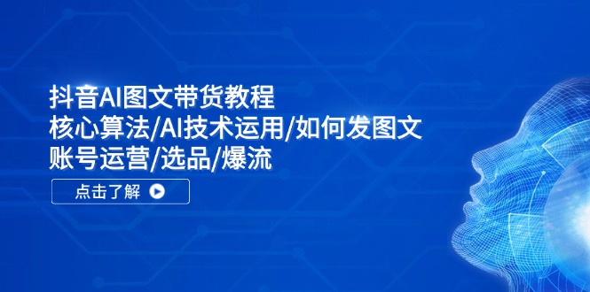 抖音AI图文带货教程：核心算法/AI技术运用/如何发图文/账号运营/选品/爆流-木白网创