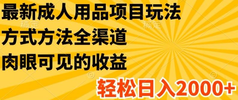 最新成人用品项目玩法，方式方法全渠道，轻松日入2K+【揭秘】-木白网创