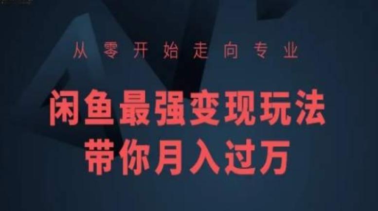 从零开始走向专业，闲鱼最强变现玩法带你月入过万-木白网创