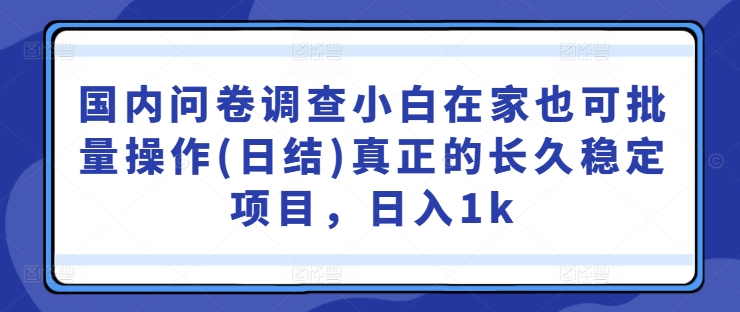 国内问卷调查小白在家也可批量操作(日结)真正的长久稳定项目，日入1k【揭秘】-木白网创