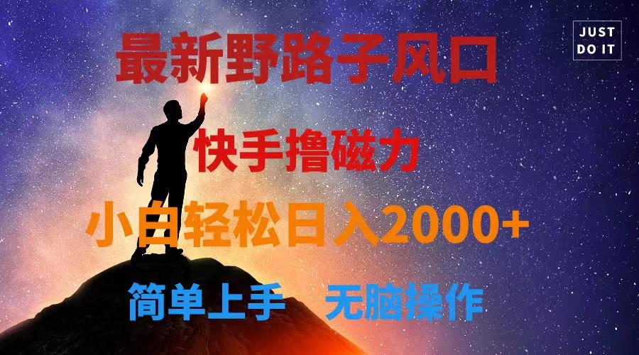 最新风口！快手撸磁力，野路子，小白无脑操作日入2000+-木白网创