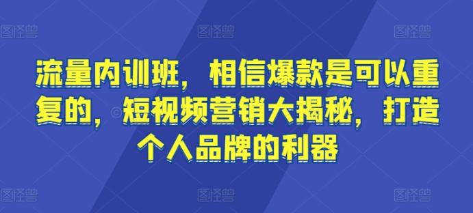 流量内训班，相信爆款是可以重复的，短视频营销大揭秘，打造个人品牌的利器-木白网创