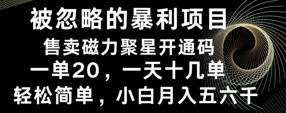 被忽略的暴利项目！售卖磁力聚星开通码，一单20，一天十几单，轻松月入五六千-木白网创