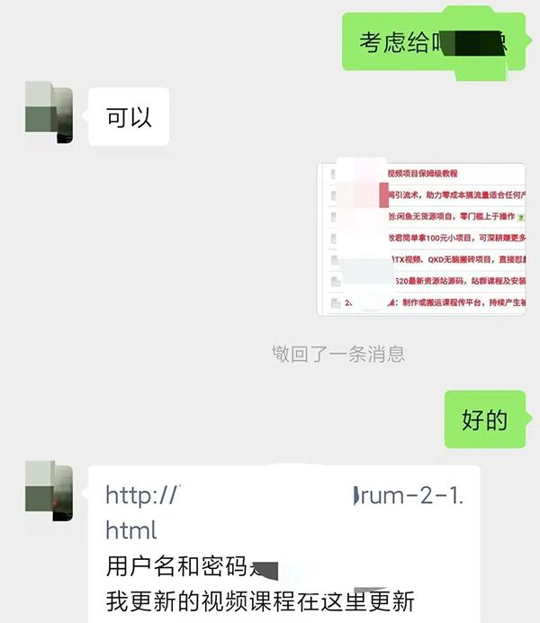 图片[3]-某收费培训：如何一个月快速做出盈利的资源网站(实打实经验)-18节无水印-木白网创