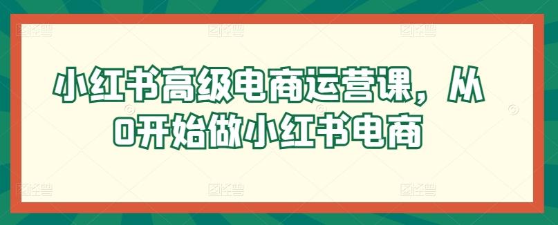 小红书高级电商运营课，从0开始做小红书电商-木白网创