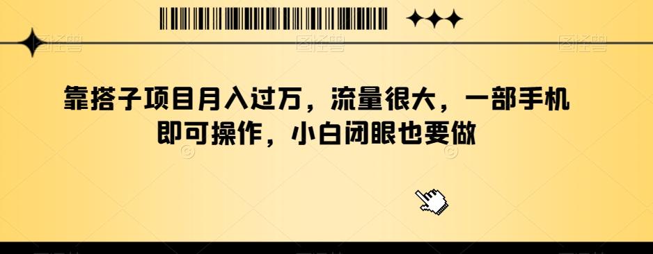 靠搭子项目月入过万，流量很大，一部手机即可操作，小白闭眼也要做-木白网创