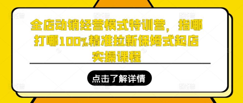 全店动销经营模式特训营，指哪打哪100%精准拉新保姆式起店实操课程-木白网创