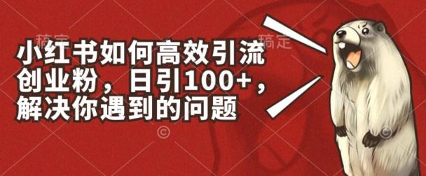 小红书如何高效引流创业粉，日引100+，解决你遇到的问题【揭秘】-木白网创