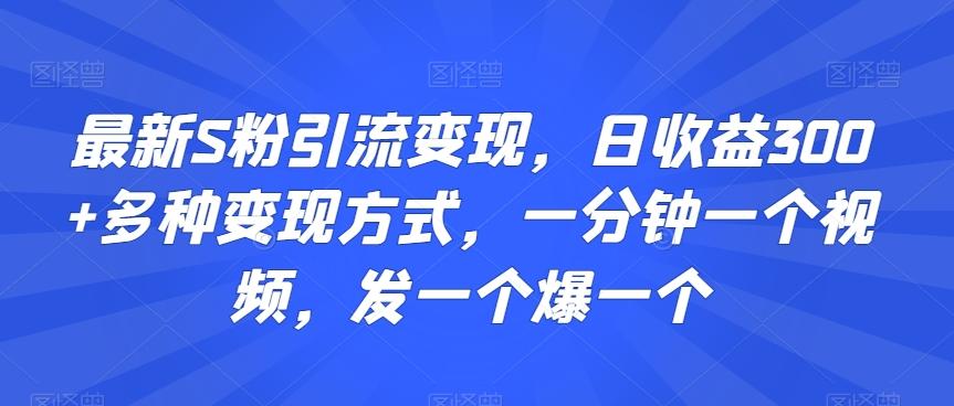 最新S粉引流变现，日收益300+多种变现方式，一分钟一个视频，发一个爆一个【揭秘】-木白网创