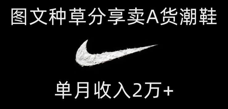 靠图文种草分享卖A货潮鞋，每天一小时，单月收入2万+【揭秘】-木白网创