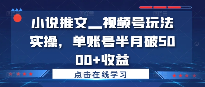 小说推文—视频号玩法实操，单账号半月破5000+收益-木白网创