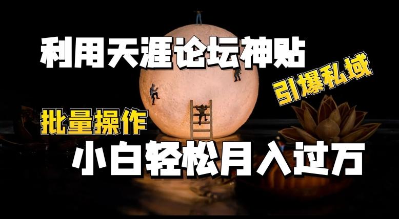 利用天涯论坛神贴，引爆私域，批量操作，小白轻松月入过w【揭秘】-木白网创