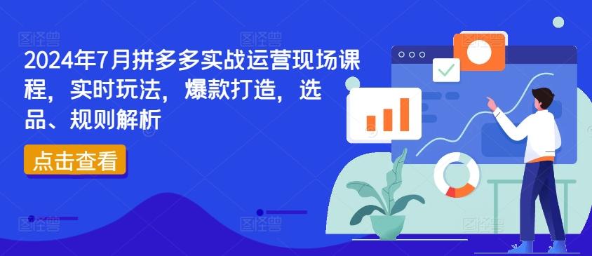 2024年7月拼多多实战运营现场课程，实时玩法，爆款打造，选品、规则解析-木白网创