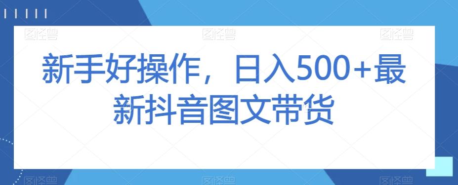 新手好操作，日入500+最新抖音图文带货【揭秘】-木白网创