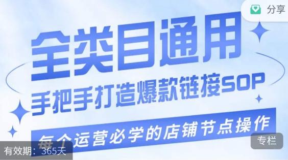单品爆款打造实操运营，单品爆款从“0”-“1”手把手演练运营步骤-木白网创