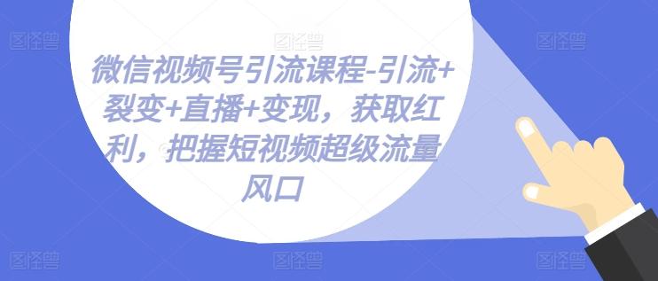 微信视频号引流课程-引流+裂变+直播+变现，获取红利，把握短视频超级流量风口-木白网创