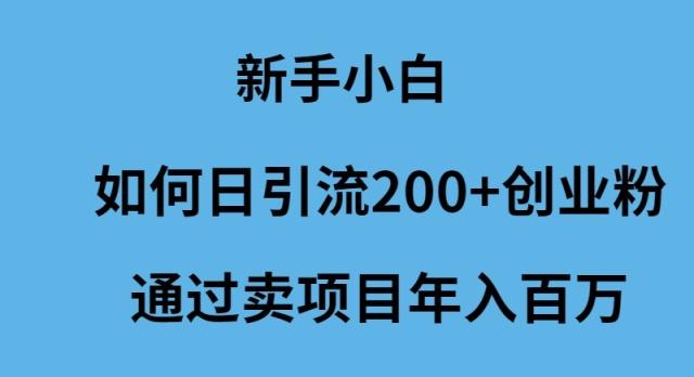(9668期)新手小白如何日引流200+创业粉通过卖项目年入百万-木白网创
