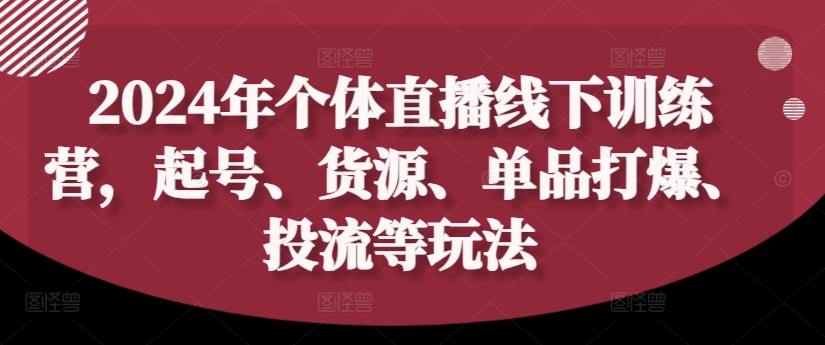 2024年个体直播训练营，起号、货源、单品打爆、投流等玩法-木白网创