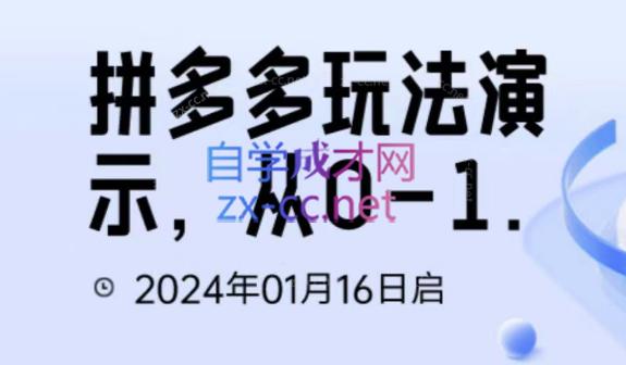 吴老师·拼多多从选品到截流到付费的玩法技巧-木白网创