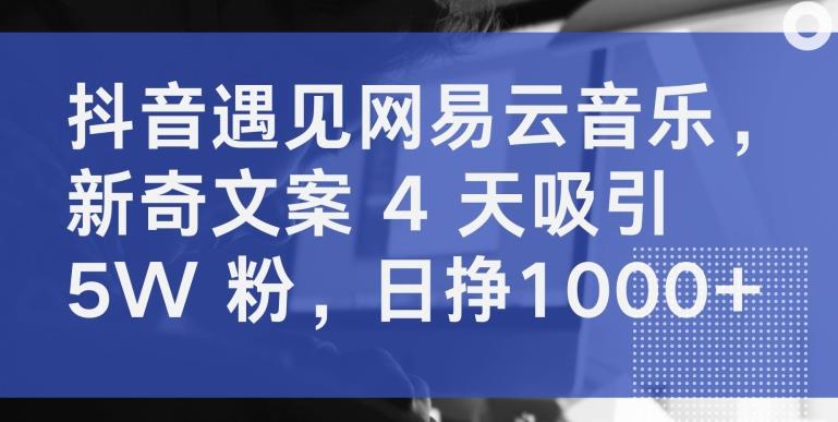抖音遇见网易云音乐，新奇文案 4 天吸引 5W 粉，日挣1000+【揭秘】-木白网创