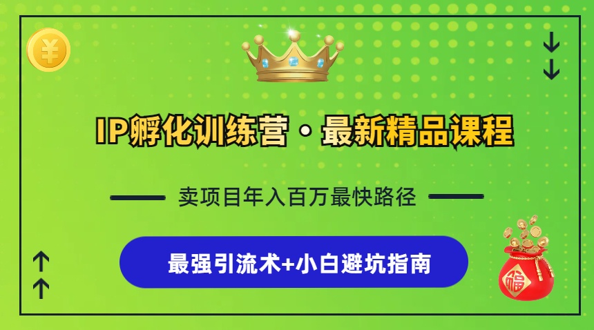 IP孵化训练营，知识付费全流程+最强引流术+小白避坑指南-木白网创