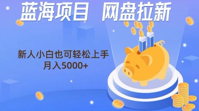 蓝海项目网盘拉新，新人小白也可操作，每月收入5000+-木白网创