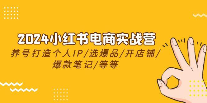 2024小红书电商实战营，养号打造IP/选爆品/开店铺/爆款笔记/等等(24节)-木白网创