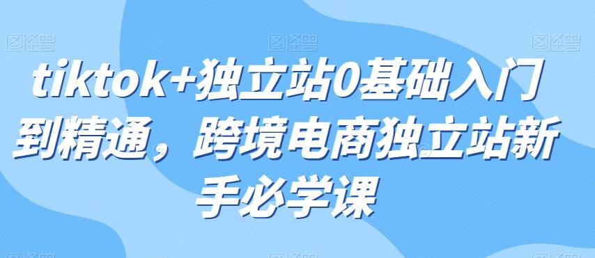 tiktok+独立站0基础入门到精通，跨境电商独立站新手必学课-木白网创