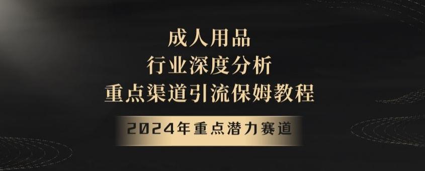 2024年重点潜力赛道，成人用品行业深度分析，重点渠道引流保姆教程【揭秘】-木白网创