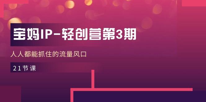 宝妈IP-轻创营第3期，人人都能抓住的流量风口(21节课-木白网创