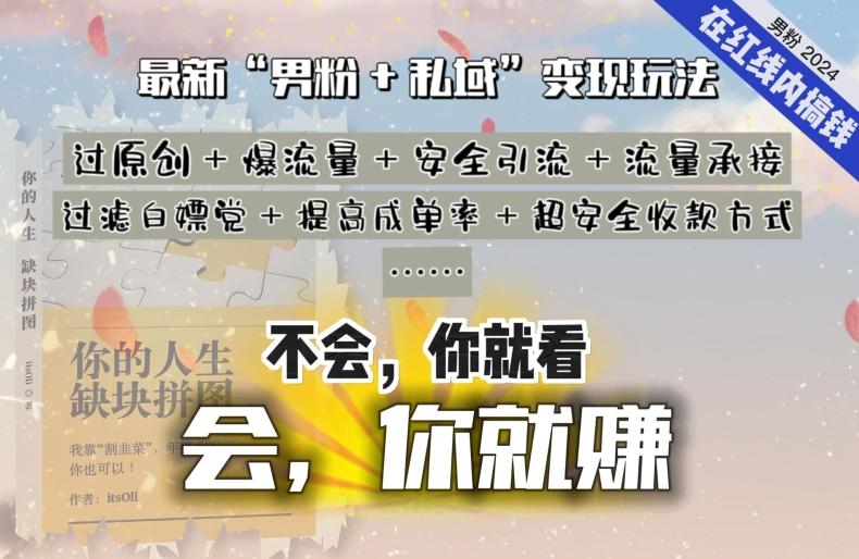 2024，“男粉+私域”还是最耐造、最赚、最轻松、最愉快的变现方式【揭秘】-木白网创