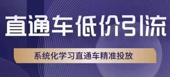 直通车低价引流课，系统化学习直通车精准投放-木白网创