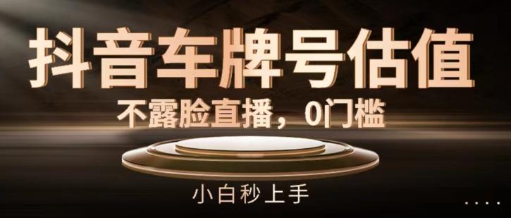 抖音车牌号估值，不露脸直播，0门槛，小白秒上手【揭秘】-木白网创