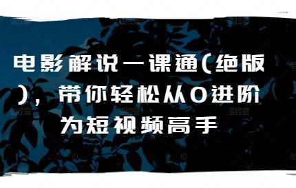 电影解说一课通(绝版)，带你轻松从0进阶为短视频高手-木白网创