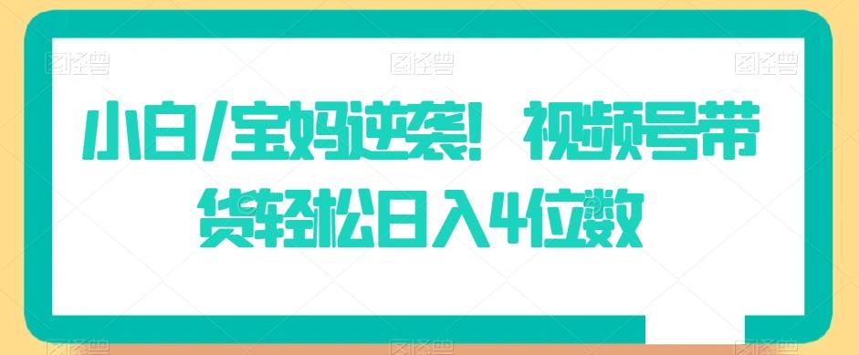 小白/宝妈逆袭！视频号带货轻松日入4位数【揭秘】-木白网创